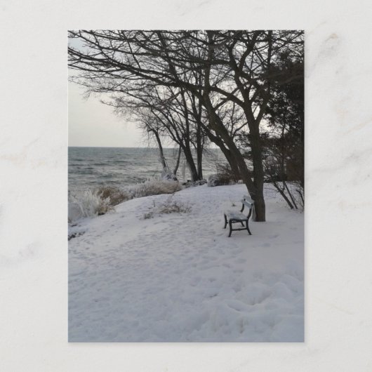 Carte Postale Banc en neige hivernale (Devant)