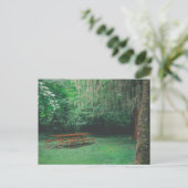 Carte postale Banc Mossy vintage (Debout devant)