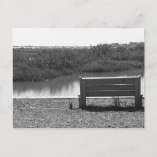 Carte Postale Banc par rivière photo noir et blanc