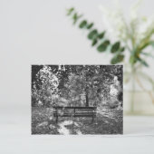 Carte Postale Banc public (Debout devant)