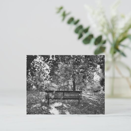 Carte Postale Banc public (Debout devant)