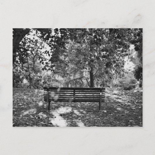Carte Postale Banc public (Devant)