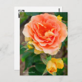 Carte Postale Bande de laiton Rosa [Carte postale] (Devant / Derrière)