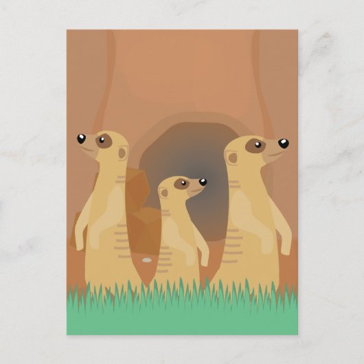 Carte Postale Bande de suricates (Devant)