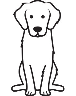 Cartes Postales Dessin Chien Golden Retriever Originales Zazzle Be Cartes Postales Dessin Chien Golden Retriever Originales Zazzle Be