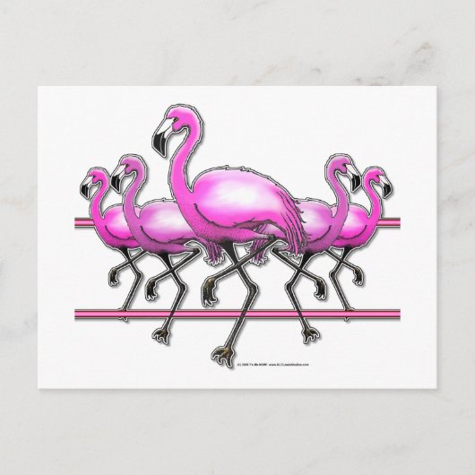 Carte Postale Bande Flamant rose (Devant)