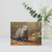 Carte Postale Banded Mongoose dans les bois (Debout devant)