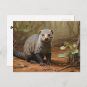 Carte Postale Banded Mongoose dans les bois (Devant / Derrière)
