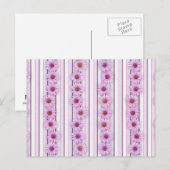 Carte Postale Bandes de fleurs d'échinacée (Devant / Derrière)