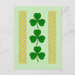 Carte Postale Bandes trio shamrocks et de nouage