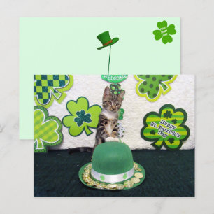 Carte Postale Bandit Les Pièces d'Or Lucky du Chat