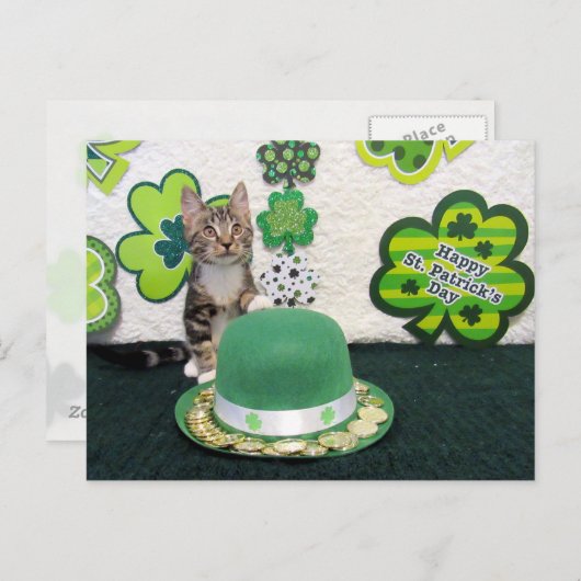 Carte Postale Bandit's St. Patrick's Day Cat / Kitten Postcard (Devant / Derrière)