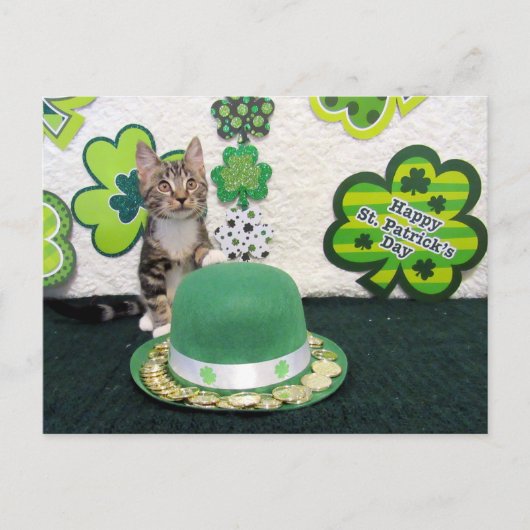 Carte Postale Bandit's St. Patrick's Day Cat / Kitten Postcard (Devant)