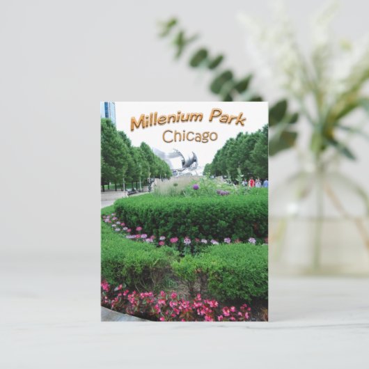 Carte Postale Bandshell Millenium Park (Debout devant)