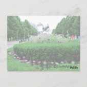 Carte Postale Bandshell Millenium Park (Dos)