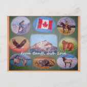 Carte postale Banff Lodging (Devant)