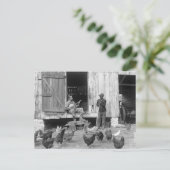 Carte Postale Banjo Player, 1927 de basse-cour (Debout devant)