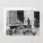 Carte Postale Banjo Player, 1927 de basse-cour (Devant / Derrière)