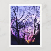 Carte Postale Banlieue en Californie du Sud (Devant)