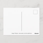 Carte Postale Banos, Équateur (Dos)