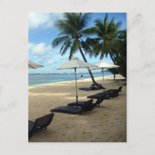 Carte Postale banquettes de beach palm