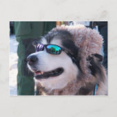 Carte postale Banshee (Devant)