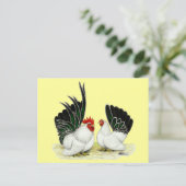 Carte Postale Bantams japonais Blacktail (Debout devant)