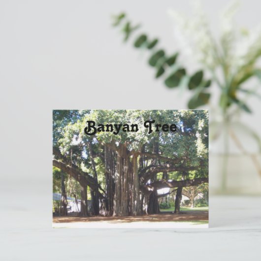 Carte Postale Banyan Tree (Debout devant)