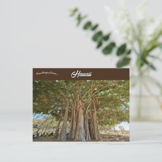 Carte Postale Banyan Tree Queens Beach à Honolulu Oahu Hawaii (Debout devant)