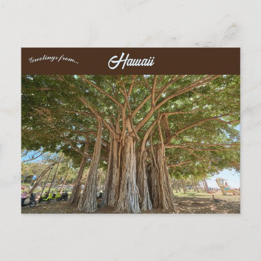 Carte Postale Banyan Tree Queens Beach à Honolulu Oahu Hawaii (Devant)