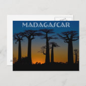 Carte Postale Baobabs de Madagascar (Devant / Derrière)