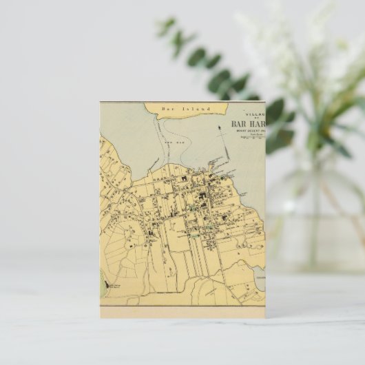 Carte Postale Bar Harbour (Debout devant)