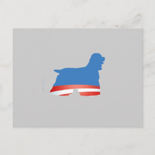 CARTE POSTALE BARACKER SPANIEL