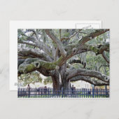 Carte Postale Baranoff Chêne - Port de sécurité, FL (Devant / Derrière)