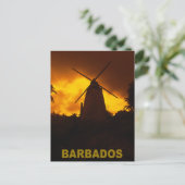 Carte Postale Barbade (Debout devant)