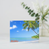 Carte Postale Barbade (Debout devant)