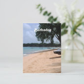 Carte Postale Barbade Beach (Debout devant)