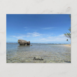 Carte Postale Barbade - Côte Est 1