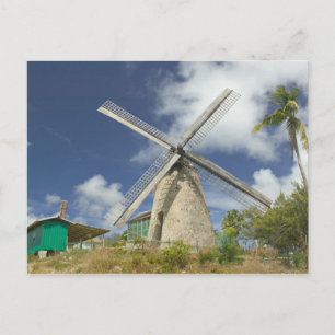 Carte Postale BARBADE, côte nord-est, Morgan Lewis : Morgan