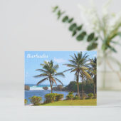 Carte postale, Barbade, Scène de plage, Palmiers (Debout devant)