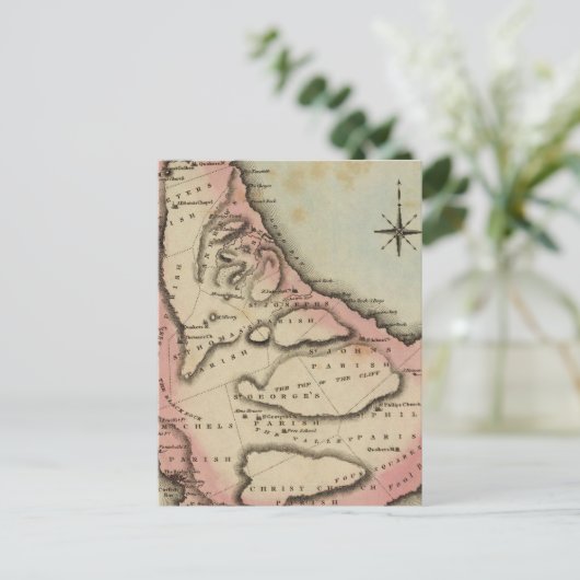 Carte Postale Barbades 2 (Debout devant)