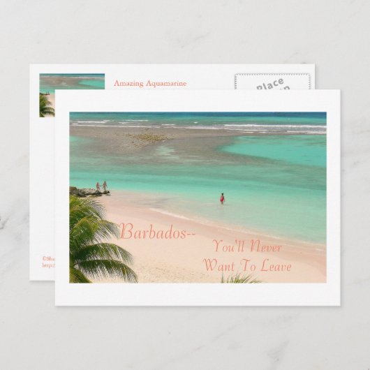 CARTE POSTALE, BARBADOS—VOUS NE VOULEZ JAMAIS PART (Devant / Derrière)