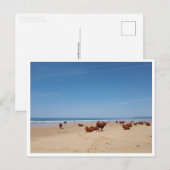 Carte Postale Barbate, Andalousie (Espagne) (Devant / Derrière)