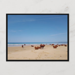 Carte Postale Barbate, Andalousie (Espagne)