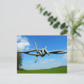 Carte postale Barbed-Wire Fence (Debout devant)