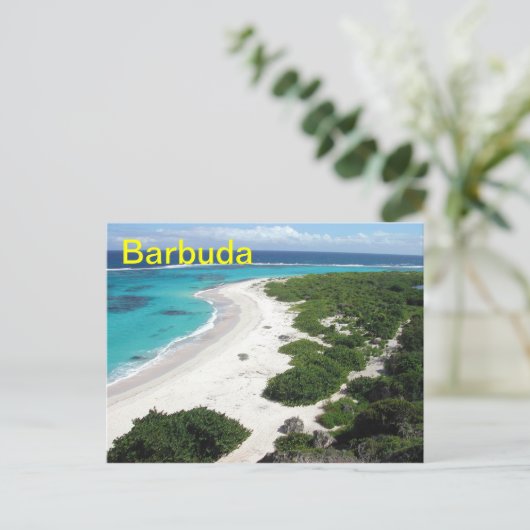 Carte postale Barbuda (Debout devant)