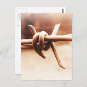 Carte Postale Barbwire et Spider Web à Sepia (Devant / Derrière)