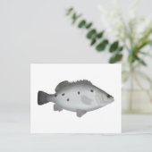Carte Postale Barcoo Grunter (Debout devant)