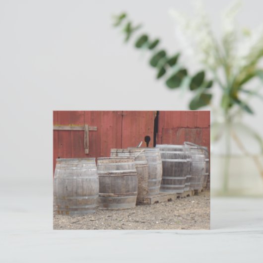 Carte Postale Barils à vin (Debout devant)