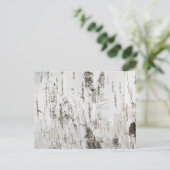 CARTE POSTALE BARK BIRCH (Debout devant)